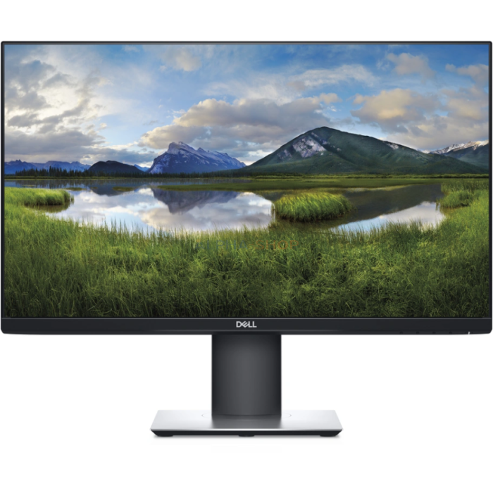 Dell P2419H