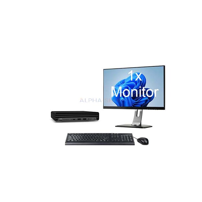 HP ProDesk 600 G6 Mini + 1x Monitor