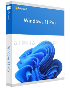 Windows 11 Professional Digitale licentie